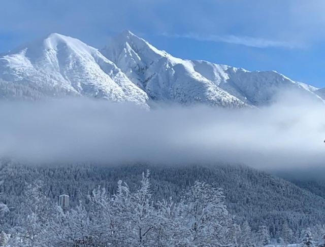Haus Anna Appartement Seefeld in Tirol Buitenkant foto